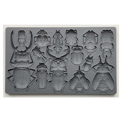 Specimens IOD Mould (6″X10″)