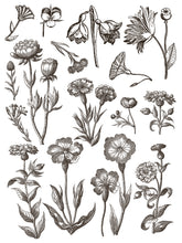 Floriography IOD Paint Inlay (12"x16" pad-8 sheets)  LIMITED EDITION