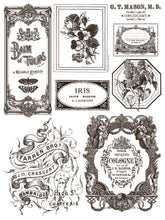 Floriography IOD Paint Inlay (12"x16" pad-8 sheets)  LIMITED EDITION