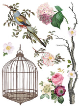 Menagerie IOD Transfer (12"x16" pad-8 sheets)