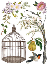 Menagerie IOD Transfer (12"x16" pad-8 sheets)