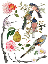 Menagerie IOD Transfer (12"x16" pad-8 sheets)