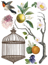 Menagerie IOD Transfer (12"x16" pad-8 sheets)