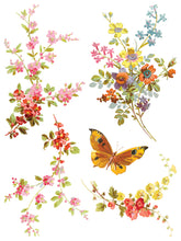 Saint Germain IOD Transfer (12"x16" pad-8 sheets)