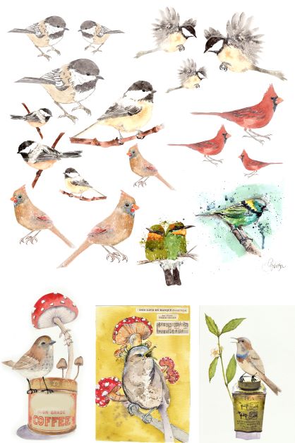Catalog of Birds by Lexi Grenzer Decoupage Paper