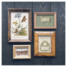 Brocante IOD Image Transfer(12″X16″ PAD-8 SHEETS )