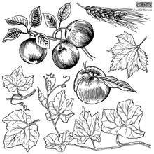 Fruitful Harvest IOD Decor Stamp (12″X12″) 2 Sheet Set - with Masks