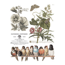 Brocante IOD Image Transfer(12″X16″ PAD-8 SHEETS )