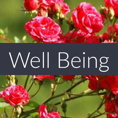 Finesse Well Being Essential Oil Blend 10ml