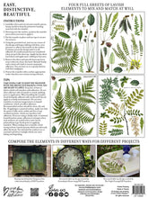 Fronds Botanical IOD Image Transfer (12″X16″ PAD -4 SHEETS)