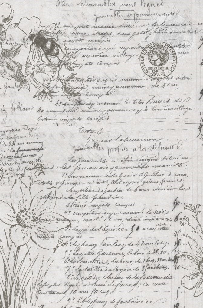 Natural History Decoupage Paper