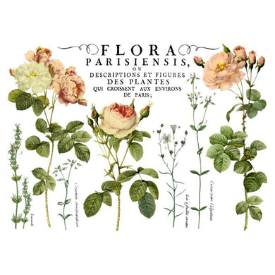 'Flora Parisiensis' IOD Transfer