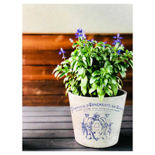 Traditional Pots IOD Transfer (12″X16″ PAD-4 SHEETS )