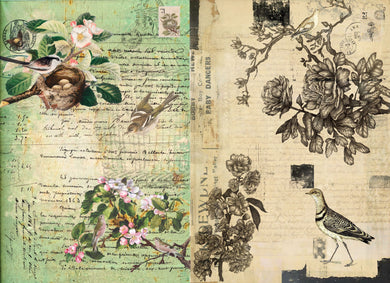 Botanical Blocks Decoupage Paper