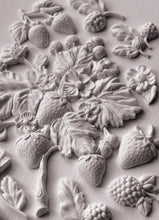 Wild Berries IOD Mould (6"x10")