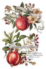 Clementine Transfer IOD (8"x12" pad-8 sheets)