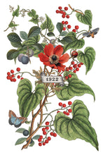 Clementine Transfer IOD (8"x12" pad-8 sheets)