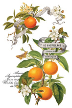 Clementine Transfer IOD (8"x12" pad-8 sheets)