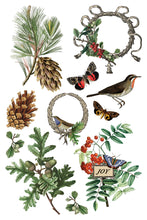 Winter Botanist IOD Transfer (8"x12" pad-8 sheets)