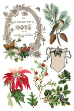 Winter Botanist IOD Transfer (8"x12" pad-8 sheets)