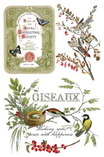 Winter Botanist IOD Transfer (8"x12" pad-8 sheets)