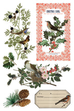 Winter Botanist IOD Transfer (8"x12" pad-8 sheets)