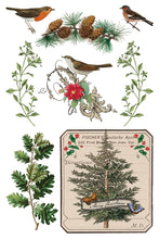 Winter Botanist IOD Transfer (8"x12" pad-8 sheets)