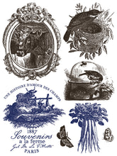 Hameau De La Reine IOD Paint Inlay (12″x16″ 8 sheet Pad)