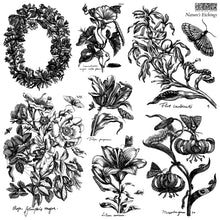Nature’s Etchings IOD Stamp™ Set of 2 Sheets( 12″x12″each)