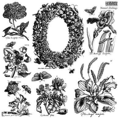 Nature’s Etchings IOD Stamp™ Set of 2 Sheets( 12″x12″each)