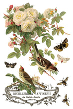 By Any Other Name IOD Transfer (8″x12″ pad-8 sheets)