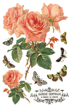 By Any Other Name IOD Transfer (8″x12″ pad-8 sheets)