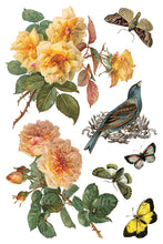 By Any Other Name IOD Transfer (8″x12″ pad-8 sheets)