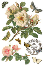 By Any Other Name IOD Transfer (8″x12″ pad-8 sheets)