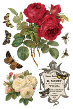 By Any Other Name IOD Transfer (8″x12″ pad-8 sheets)