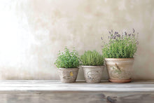 By Any Other Name IOD Transfer (8″x12″ pad-8 sheets)