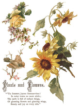 Flowers by the Poets. IOD Transfer (12"x16" pad-8 sheets)