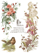 Flowers by the Poets. IOD Transfer (12"x16" pad-8 sheets)
