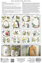 Flora Greca IOD Transfer (8″x12″ pad-8 sheets)