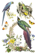 Flora Greca IOD Transfer (8″x12″ pad-8 sheets)