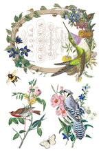 Flora Greca IOD Transfer (8″x12″ pad-8 sheets)