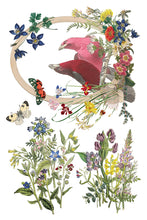 Flora Greca IOD Transfer (8″x12″ pad-8 sheets)