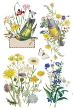 Flora Greca IOD Transfer (8″x12″ pad-8 sheets)