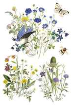 Flora Greca IOD Transfer (8″x12″ pad-8 sheets)