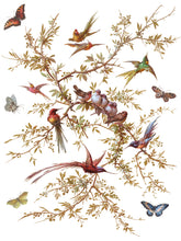 Madeleine IOD Transfer (12″x16″ pad-8 sheets)