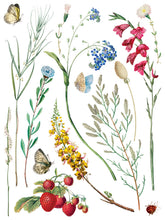 Marché des Fleurs  IOD Transfer (12"x16" pad-8 sheets)