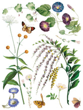 Marché des Fleurs  IOD Transfer (12"x16" pad-8 sheets)