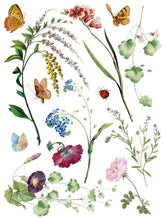 Marché des Fleurs  IOD Transfer (12"x16" pad-8 sheets)