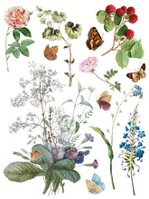 Marché des Fleurs  IOD Transfer (12"x16" pad-8 sheets)