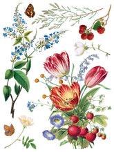 Marché des Fleurs  IOD Transfer (12"x16" pad-8 sheets)